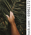 Large palm tropical leaves. Green background bor instastory, blog, post. Minimalism. 69962172
