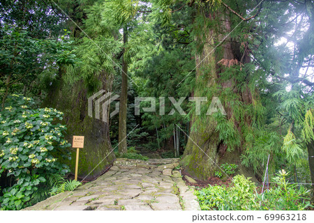Wakayama Prefecture Kumano Kodo Daimonzaka Meotosugi 69963218