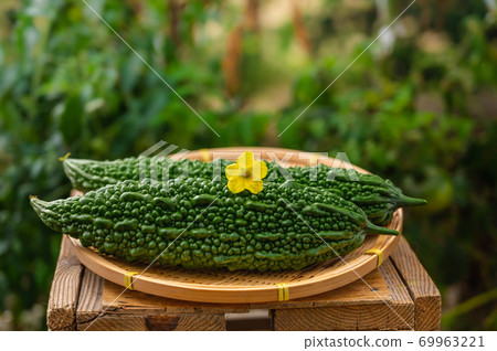 Goya and yellow flowers 69963221