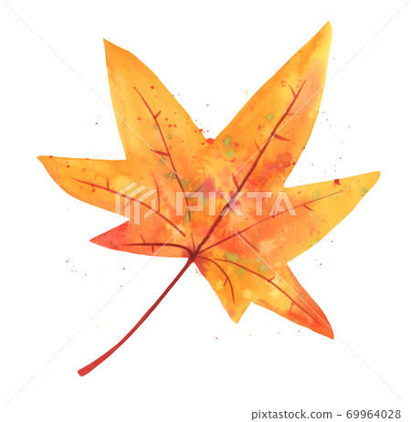 Autumn watercolor maple leaf, isolated on a white background 69964028