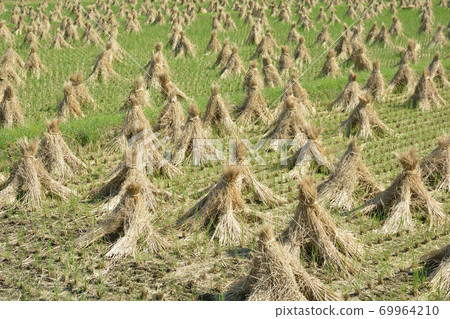 Rain sunny sun Rain sunny sun 69964210