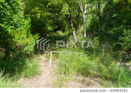鼻子溫泉側的入口（基諾山/橫尾山） 69964261