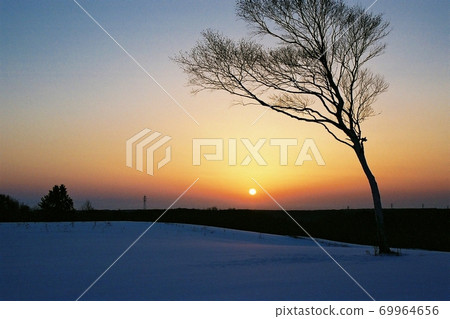 北海道北廣島市風光雪景,旭和樹木 北海道北廣島市風光雪景,旭和樹木 69964656