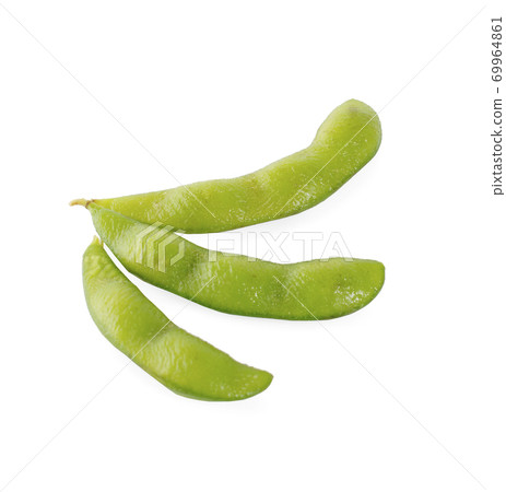 edamame beans an isolated on white background edamame beans an isolated on white background 69964861