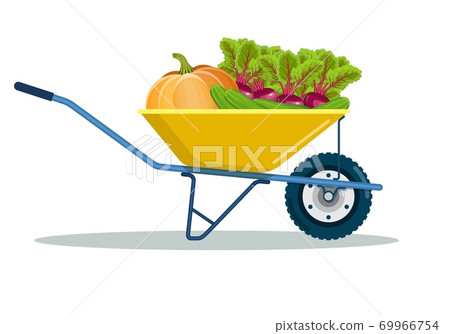 Garden cart with beetroot, pumpkin, cucumber. 69966754