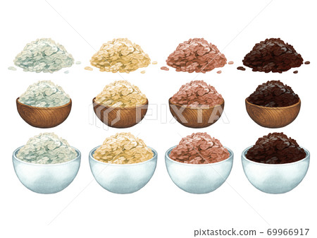 Watercolo bowls and handfuls of various species of rice. 69966917