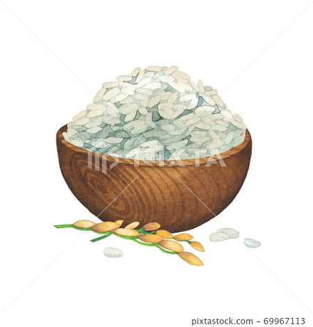 Watercolor wooden bowl of rice decorated with cereals 69967113