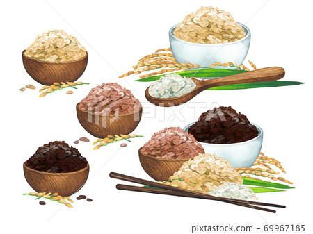 Watercolor seamless pattern of compositions with three types of rice grains and plants 69967185