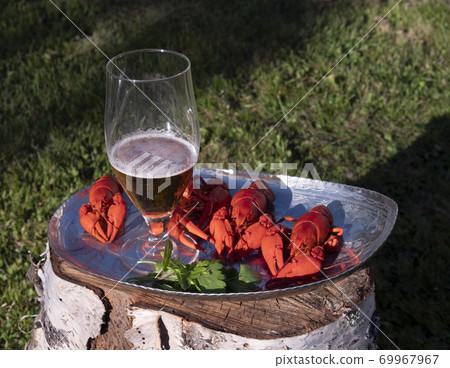 Crayfish with beer, food in the summer 69967967