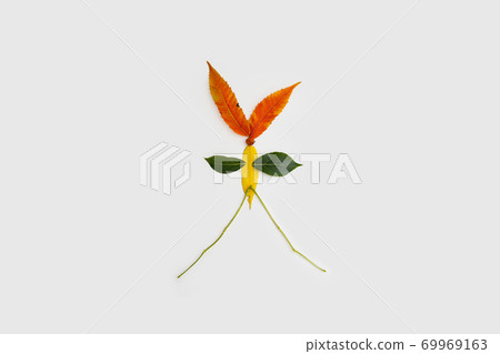 Child crafts of autumn leaves at home or preschool. Creative education. Natural toys. Child crafts of autumn leaves at home or preschool. Creative education. Natural toys. 69969163