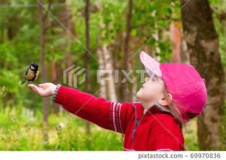 beautiful three-year-old girl in a red sweater 69970836