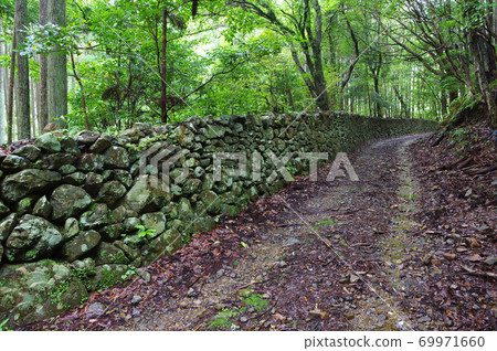 Kashisaka的Higaki 69971660