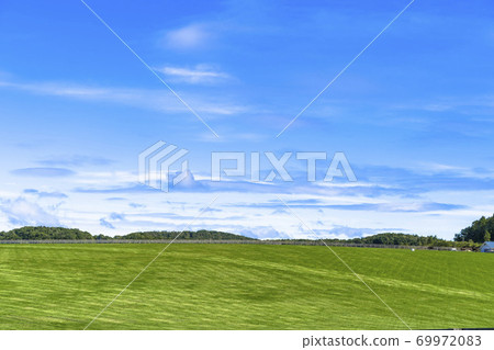 賽馬牧場小馬駒圖像北海道 賽馬牧場小馬駒圖像北海道 69972083