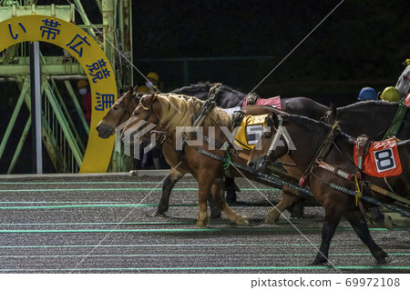 Night game Banei horse racing image Obihiro racecourse Night game Banei horse racing image Obihiro racecourse 69972108
