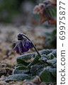 cold morning 69975877