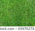 Green grass texture background Top view 69976278