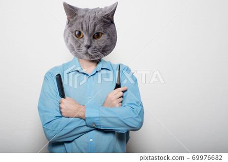 Collage of a man and with a cat head - attractive male hairdresser with scissors and comb Collage of a man and with a cat head - attractive male hairdresser with scissors and comb 69976682