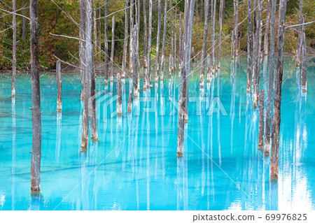 Blue pond Hokkaido Biei Blue pond Hokkaido Biei 69976825