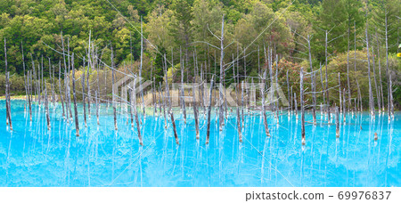 Blue pond Hokkaido Biei Blue pond Hokkaido Biei 69976837