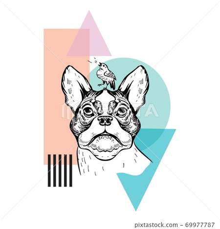 Vector image of the Boston Terrier, bird and geometric shapes. 69977787
