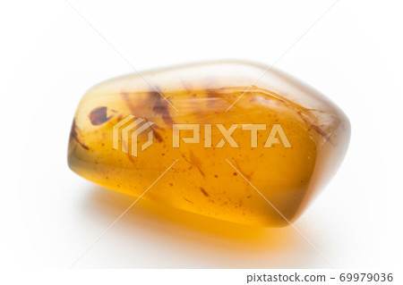 Amber white background 69979036