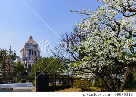 Exterior of the Diet Building [Image of Japanese politics] 69979318