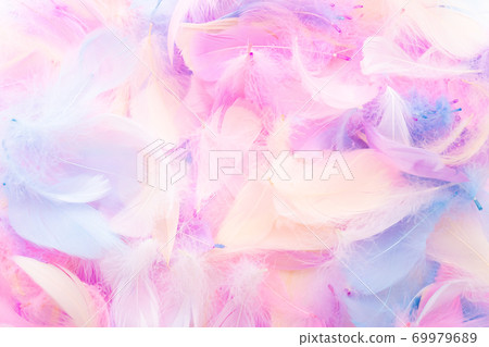 多彩的羽毛 69979689