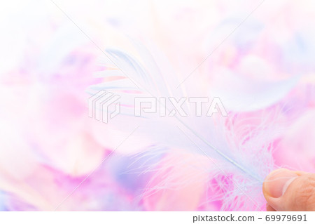 Colorful feathers 69979691