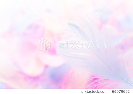 Colorful feathers 69979692