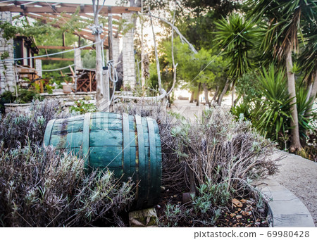 Abandoned old turquoise barrel in the bushes Abandoned old turquoise barrel in the bushes 69980428