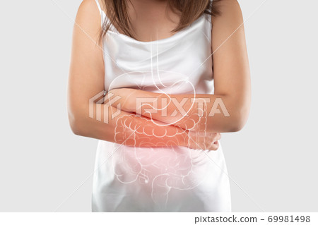 Internal organs of the human Internal organs of the human 69981498