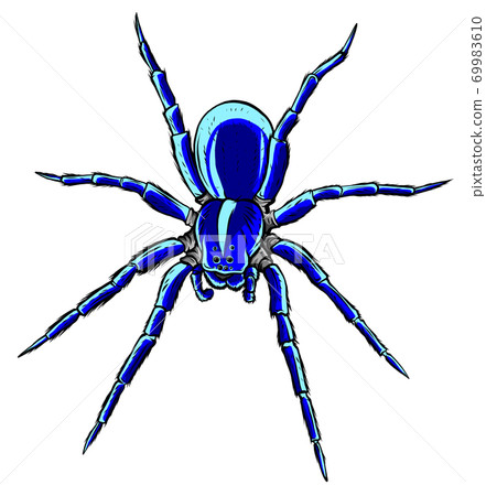 spider steed crossbow scary vector illustration art 69983610