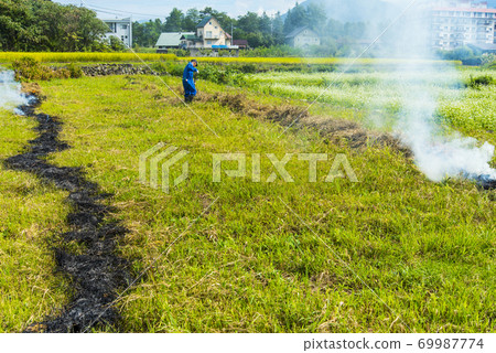 Slash-and-burn farming 69987774