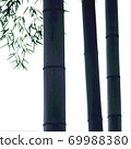 bamboo	 69988380