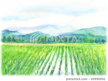 農村稻田景觀畫水彩 69990892