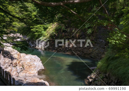 Blue-green river, rock walls and trees 69991198