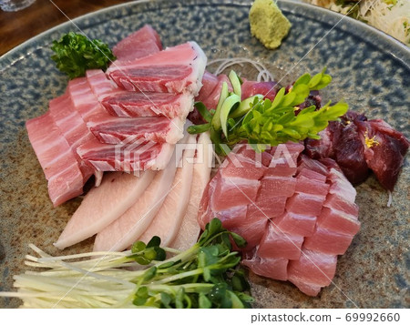 金槍魚社會 金槍魚社會 69992660