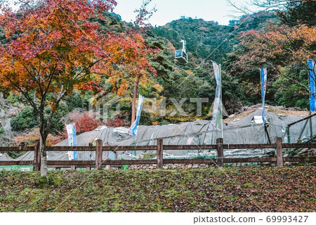 Autumn leaves in Gifu Park 69993427