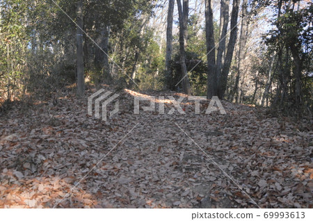 冬季枯萎的山路（崎玉縣金邊堂/深谷市） 69993613