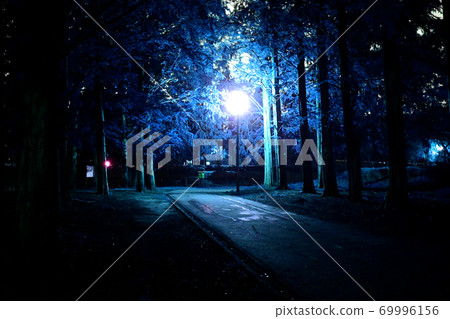 Night park Night park 69996156
