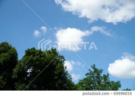 藍天，白雲，森林，天空，正確的空間 69996658