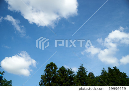 藍天,白雲,森林,天空,左空間 藍天,白雲,森林,天空,左空間 69996659
