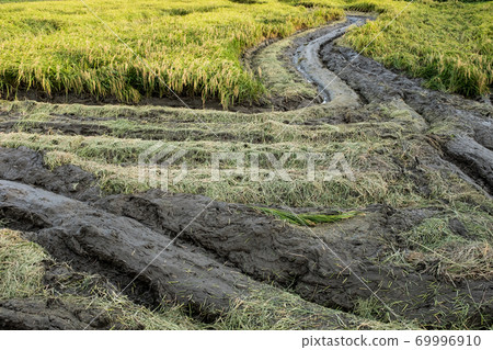 Trajectory of the combine that meanders with the rice fields during the harvest season b-2 Conlast 69996910