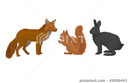 Wild Mammals Like Fox and Squirrel as Forest Habitant Vector Set 69998443