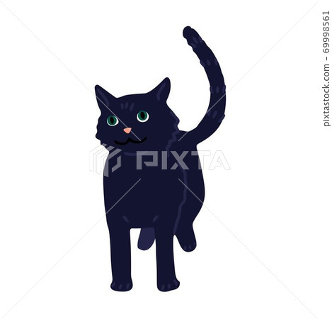 Black cat icon symbol Stock Illustration