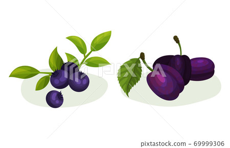 Ripe and Juicy Berries with Green Leaves Vector Set Ripe and Juicy Berries with Green Leaves Vector Set 69999306
