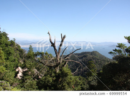 Scenery from Mt. Misen 69999554