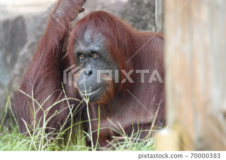 What's ahead of my eyes 70000383