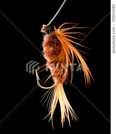 Feathers on the hook for fishing on a black background 70001080