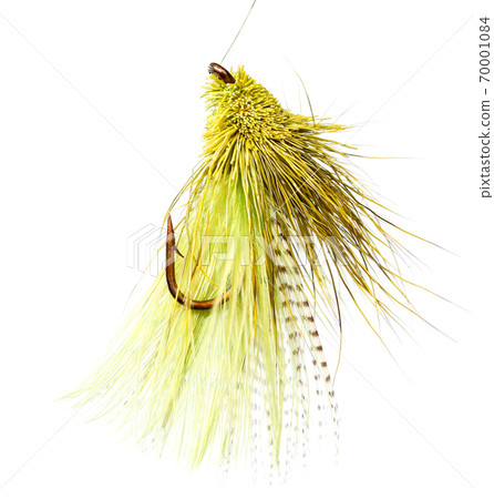 Feathers on a hook for fishing on a white background Feathers on a hook for fishing on a white background 70001084